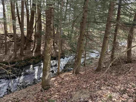 278 Longmoore Drive Ryegate VT 05042