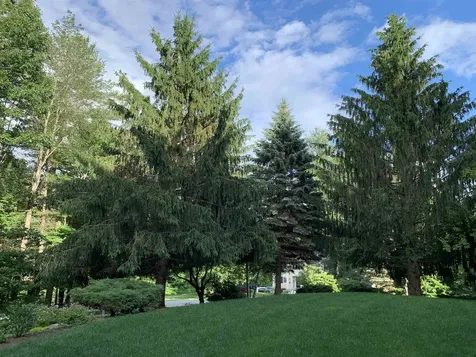 5 Wellesley Drive Bedford NH 03110