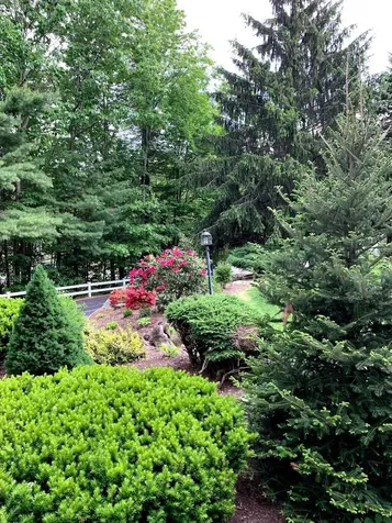 5 Wellesley Drive Bedford NH 03110