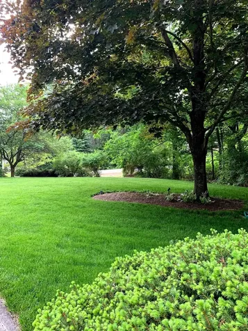 5 Wellesley Drive Bedford NH 03110