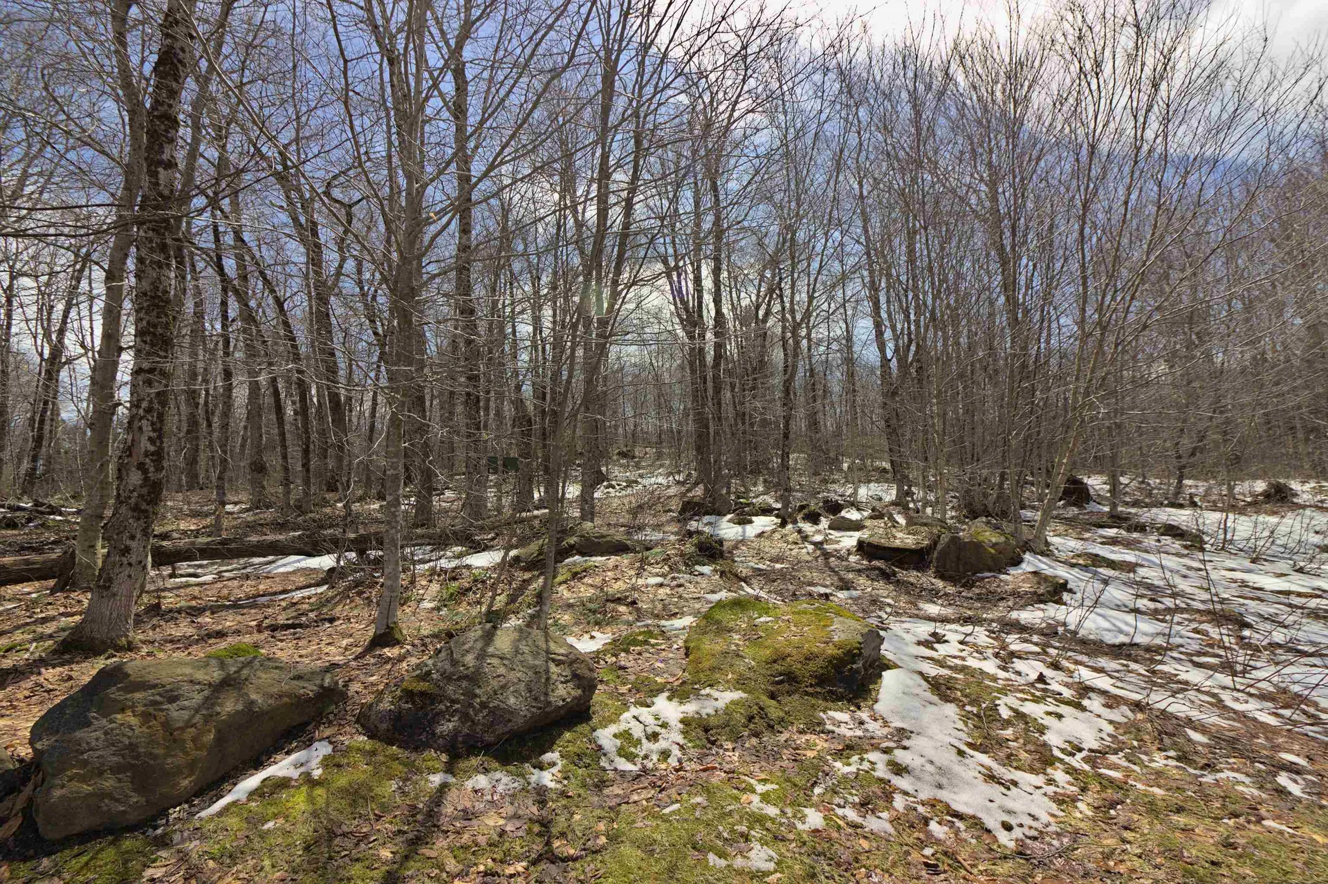 516 Oberdorf Road Readsboro VT 05350