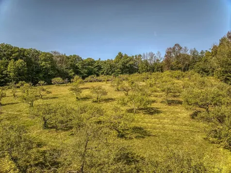 85 Old Revolutionary Road Temple NH 03084