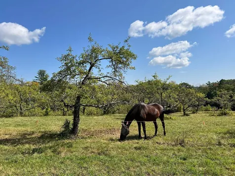 85 Old Revolutionary Road Temple NH 03084