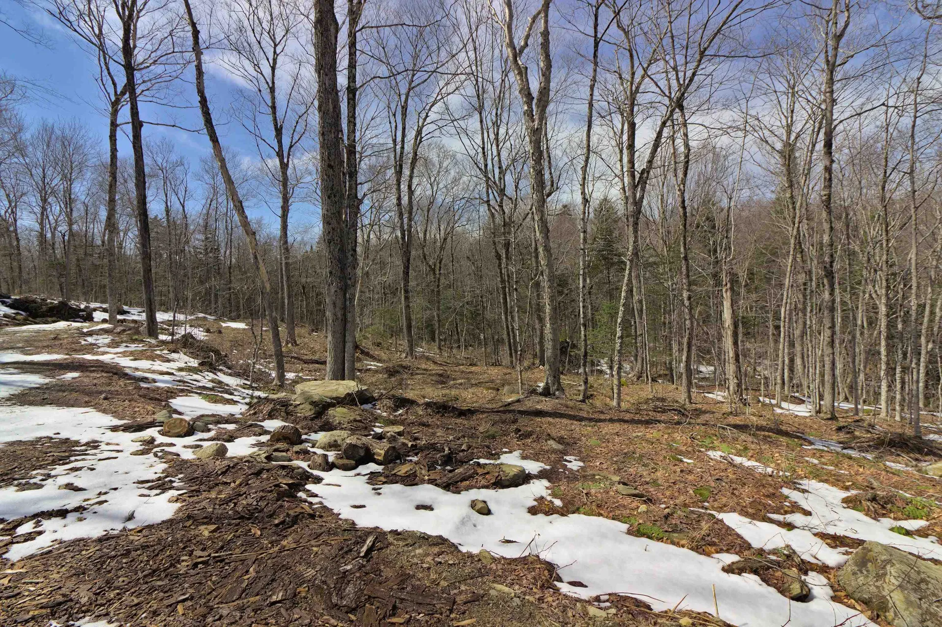 159 Oberdorf Road Readsboro VT 05350