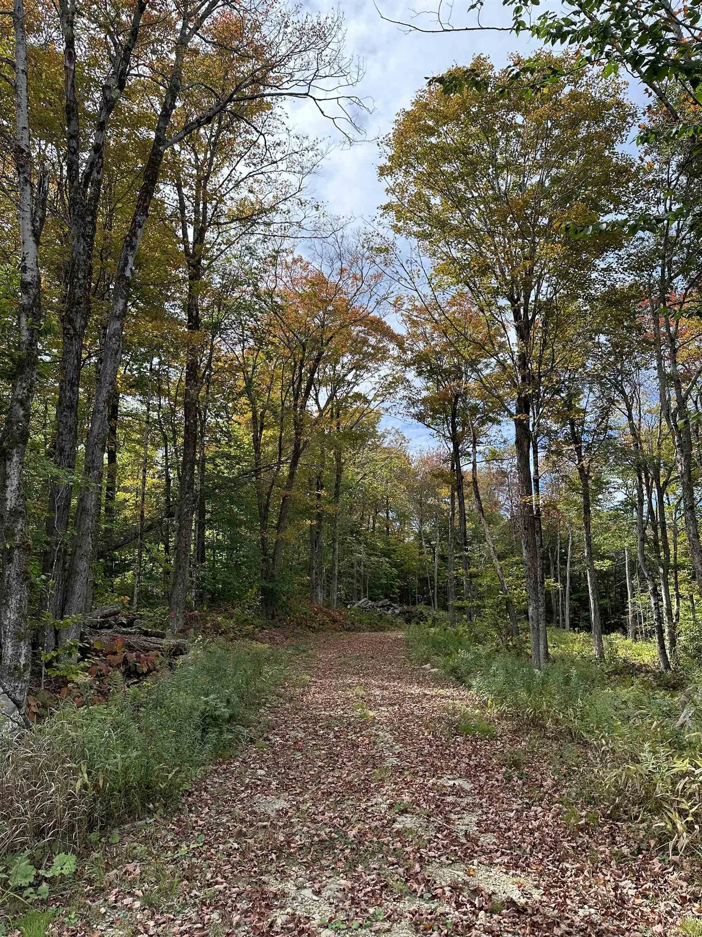 159 Oberdorf Road Readsboro VT 05350