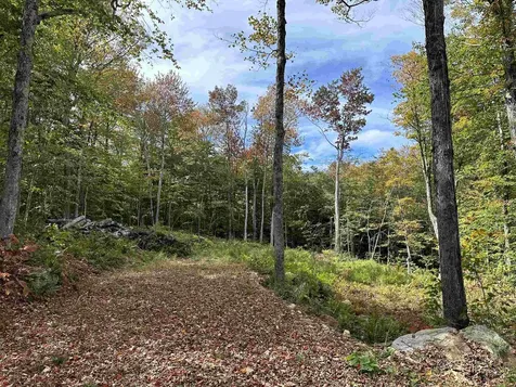 159 Oberdorf Road Readsboro VT 05350