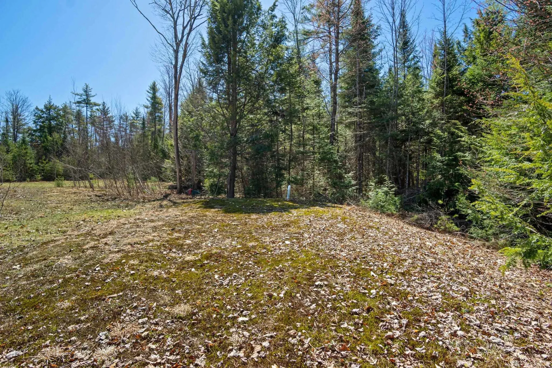 95 Stevens Road Effingham NH 03882