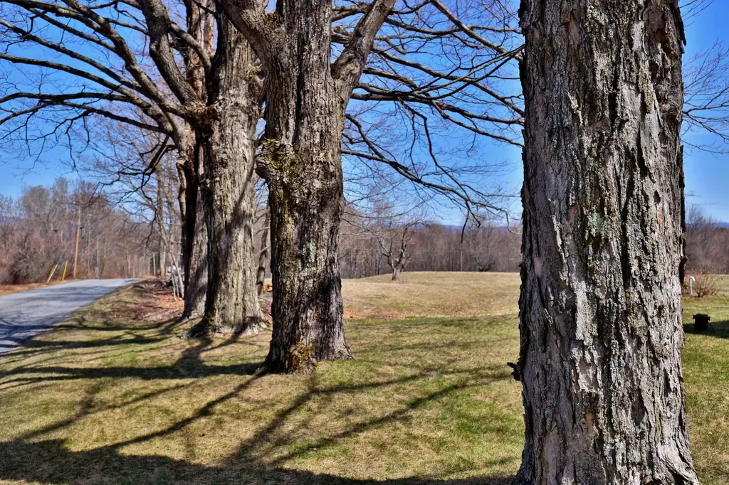 730 Parker Hill Road Springfield VT 05156