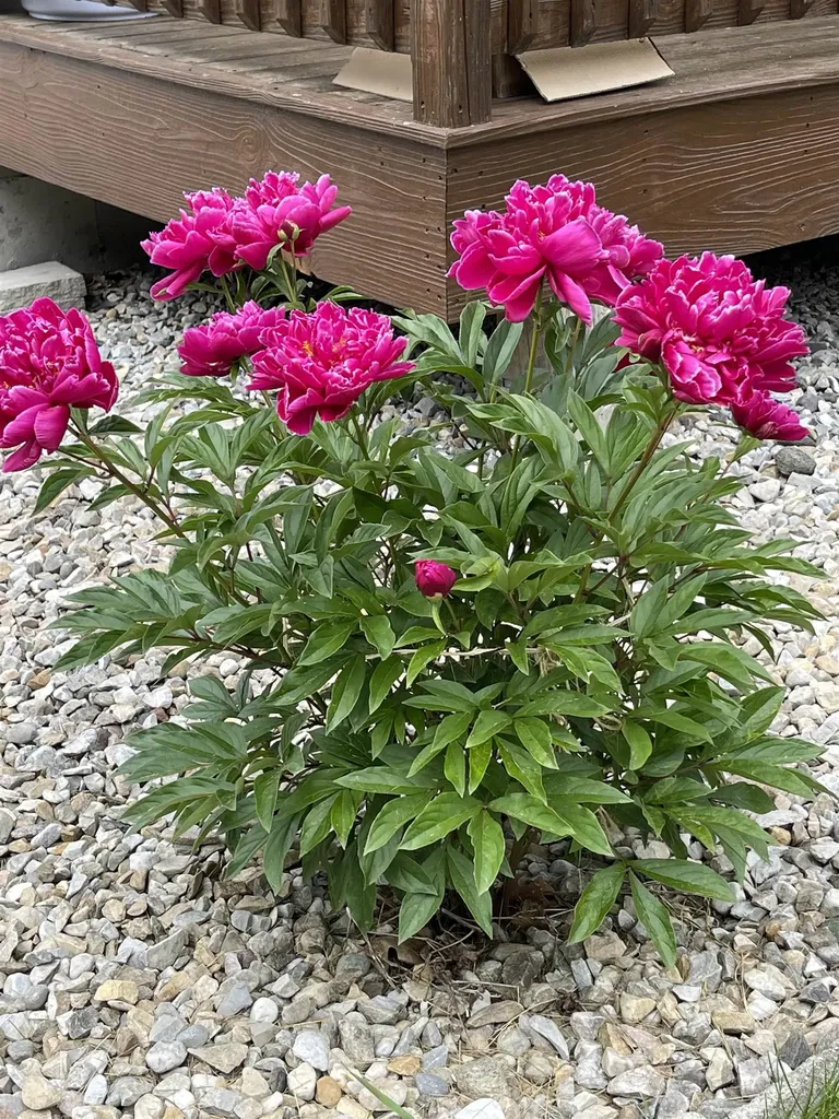 2193 Old County Road Halifax VT 05358