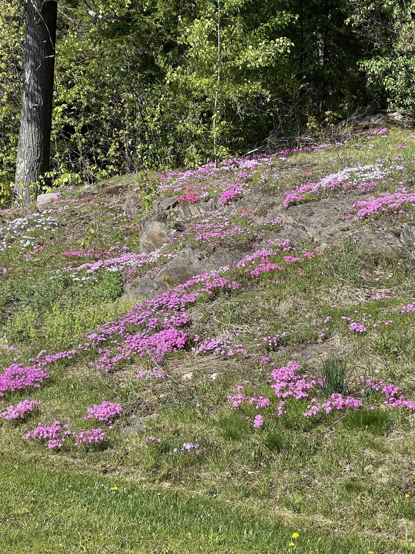 2193 Old County Road Halifax VT 05358