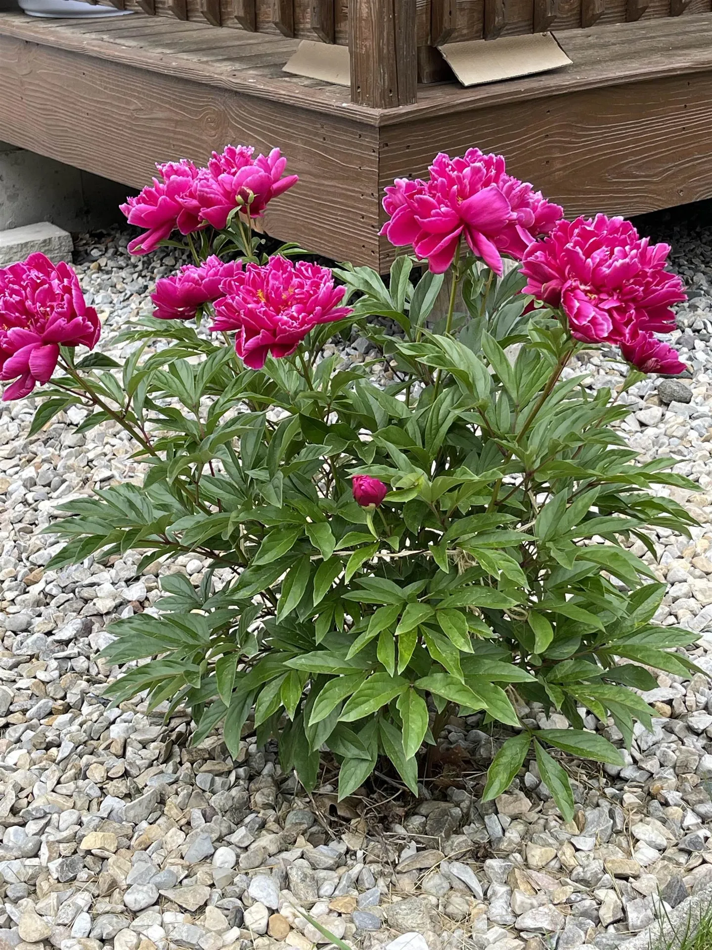 2193 Old County Road Halifax VT 05358