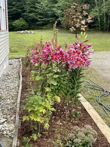 2193 Old County Road Halifax VT 05358