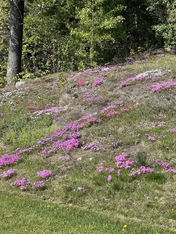 2193 Old County Road Halifax VT 05358