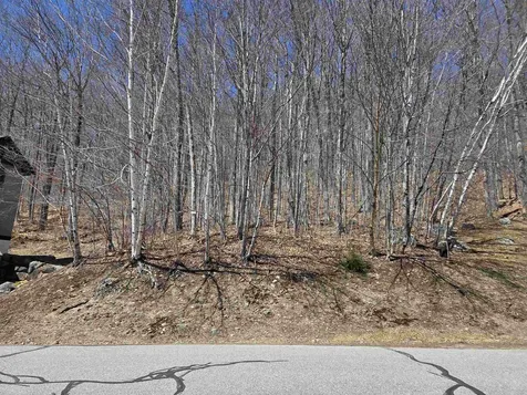 58 Westview Road Lincoln NH 03251
