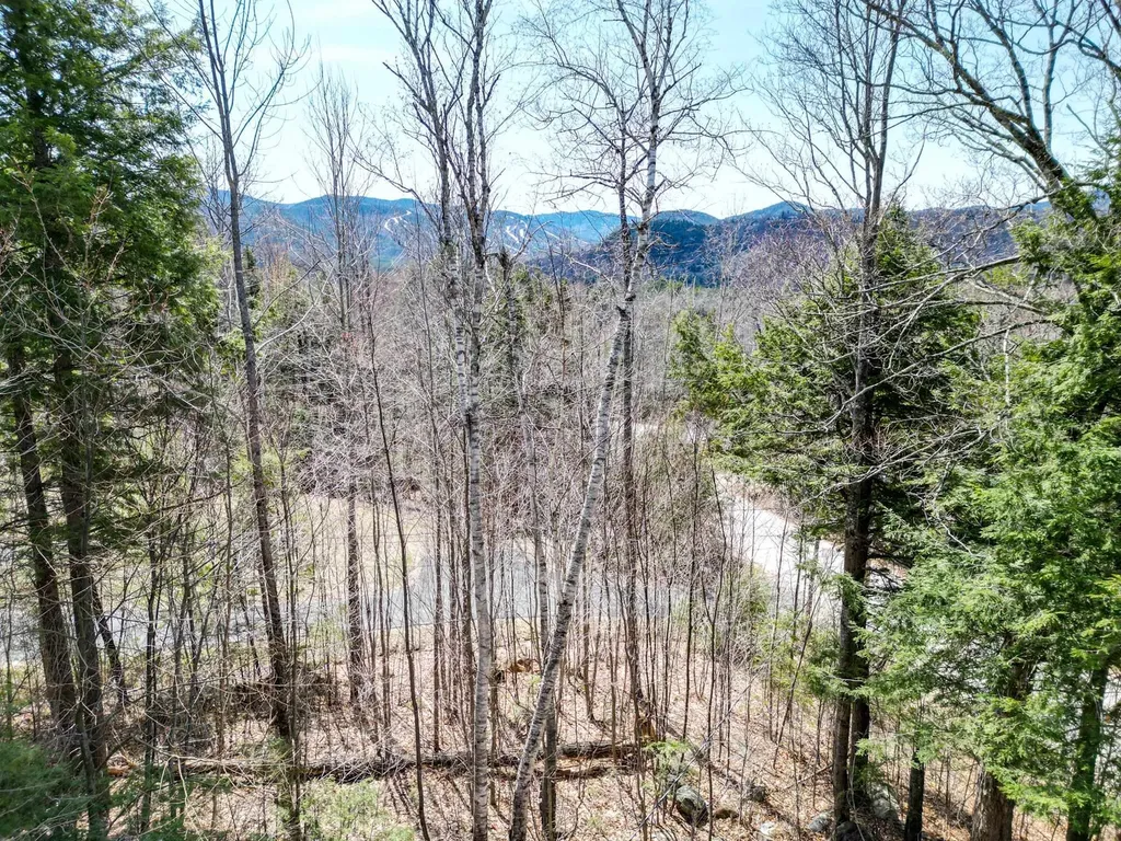 168 Linderhof Strasse Road Bartlett NH 03812