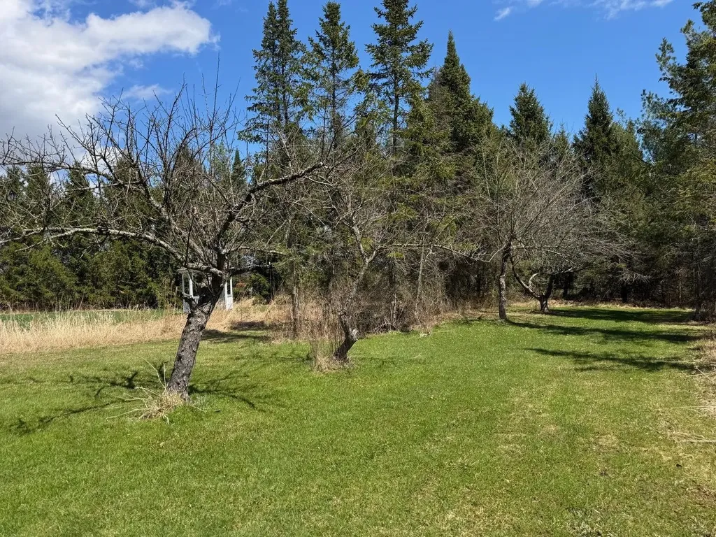 5597 Greenbush Road Charlotte VT 05445