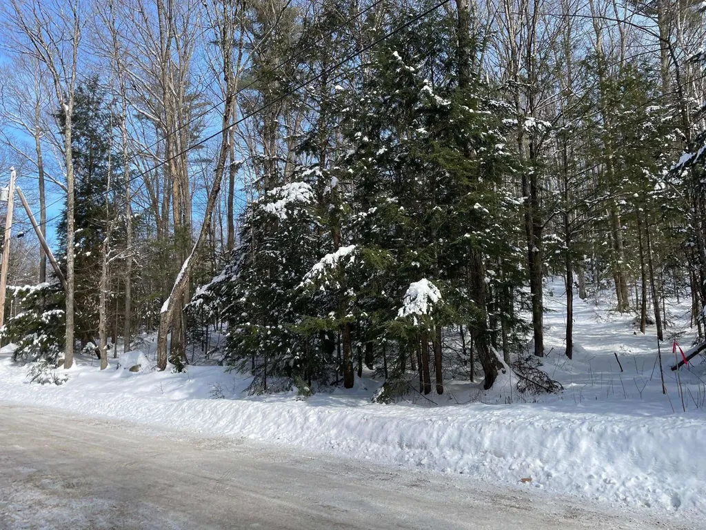 00 Stocker Pond Road Grantham NH 03753