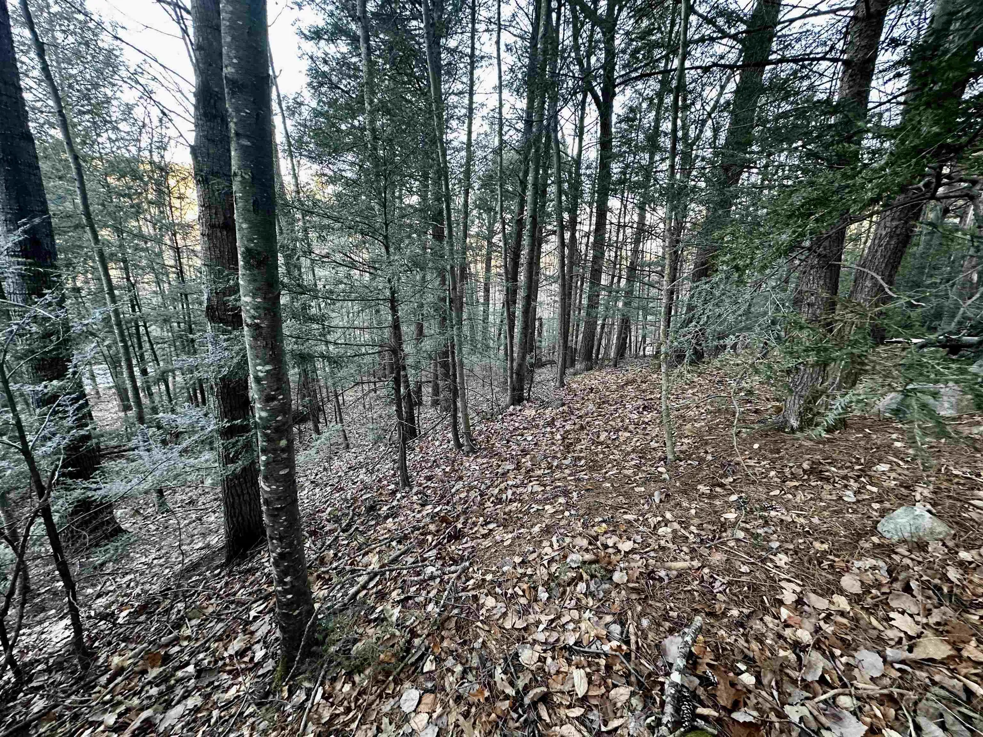 4 Cheshire Circle Gilford NH 03249