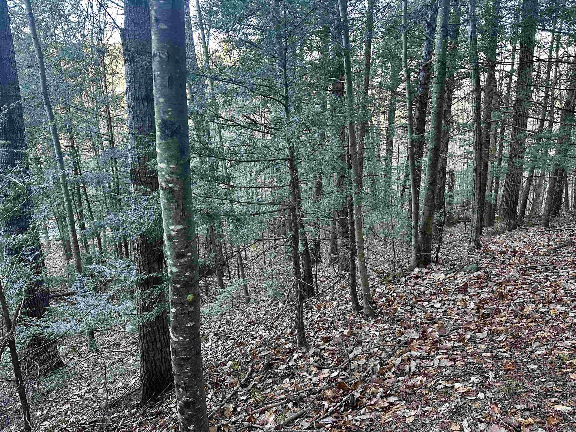 4 Cheshire Circle Gilford NH 03249