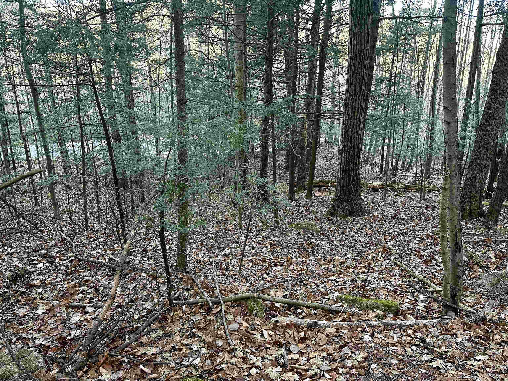 4 Cheshire Circle Gilford NH 03249