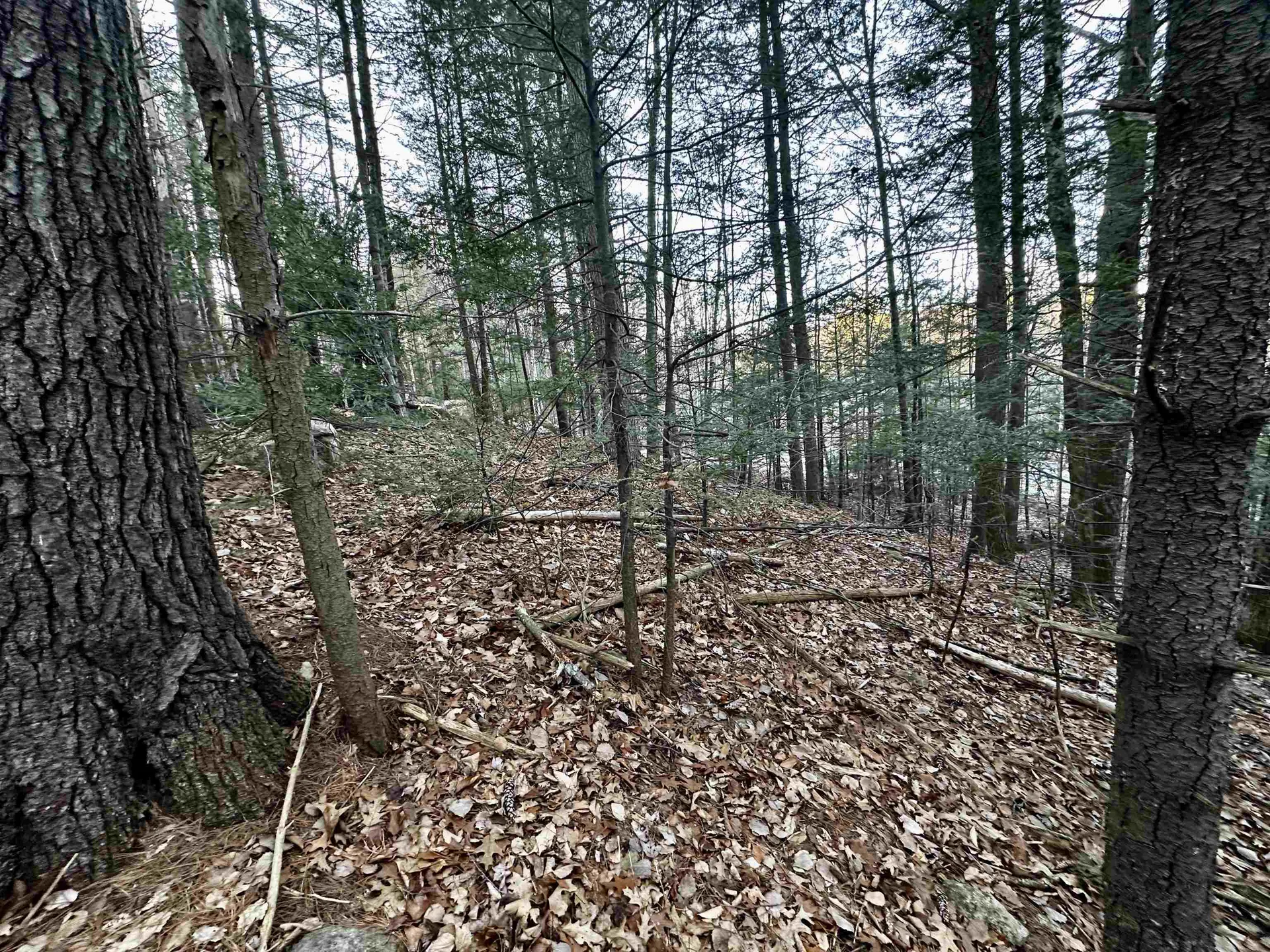 4 Cheshire Circle Gilford NH 03249