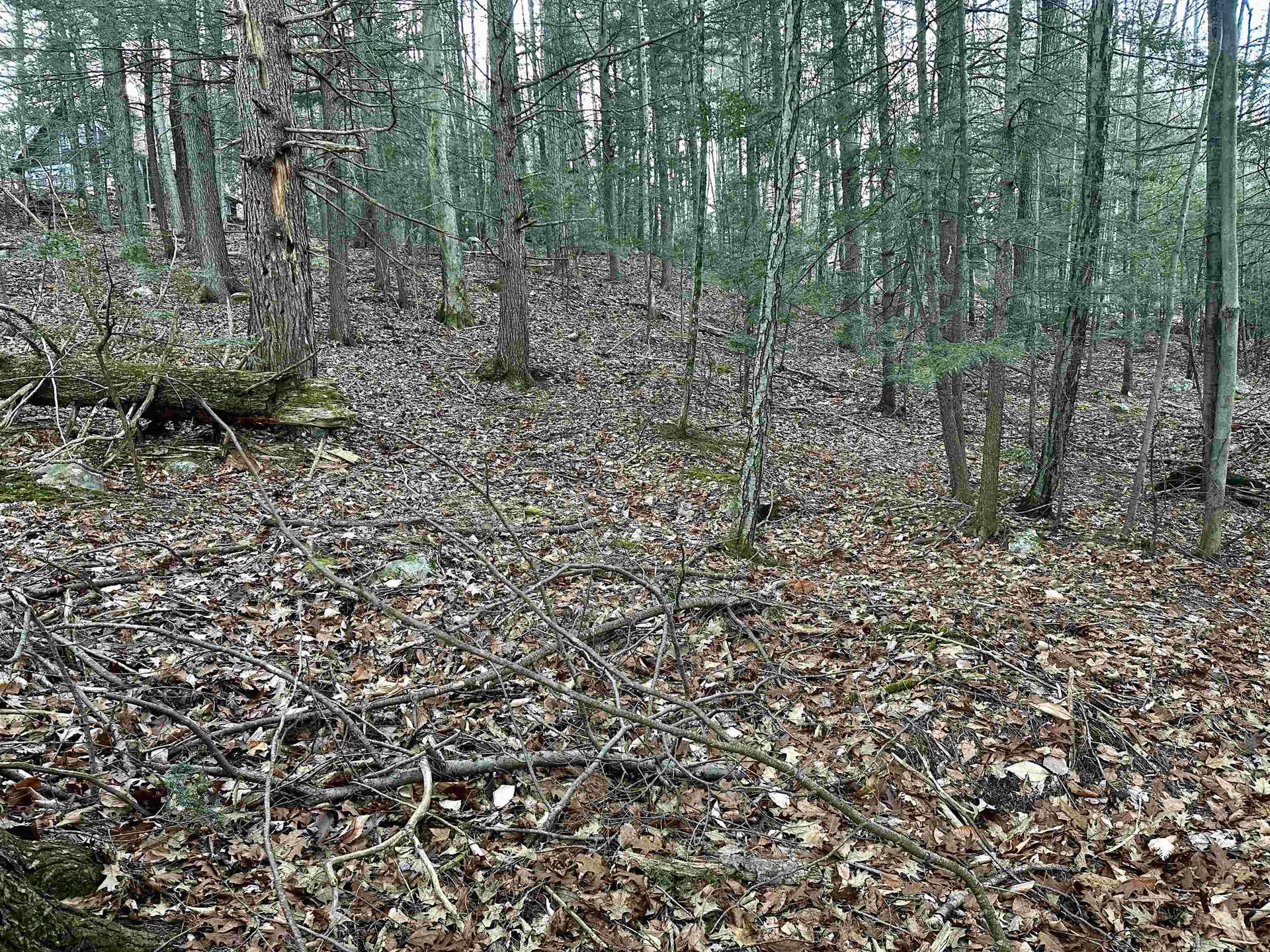 4 Cheshire Circle Gilford NH 03249