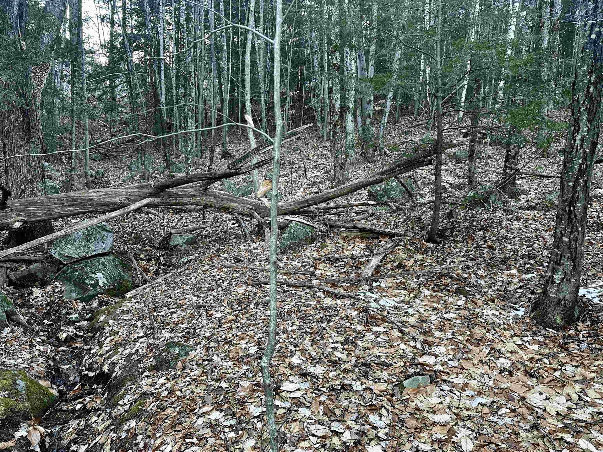 4 Cheshire Circle Gilford NH 03249