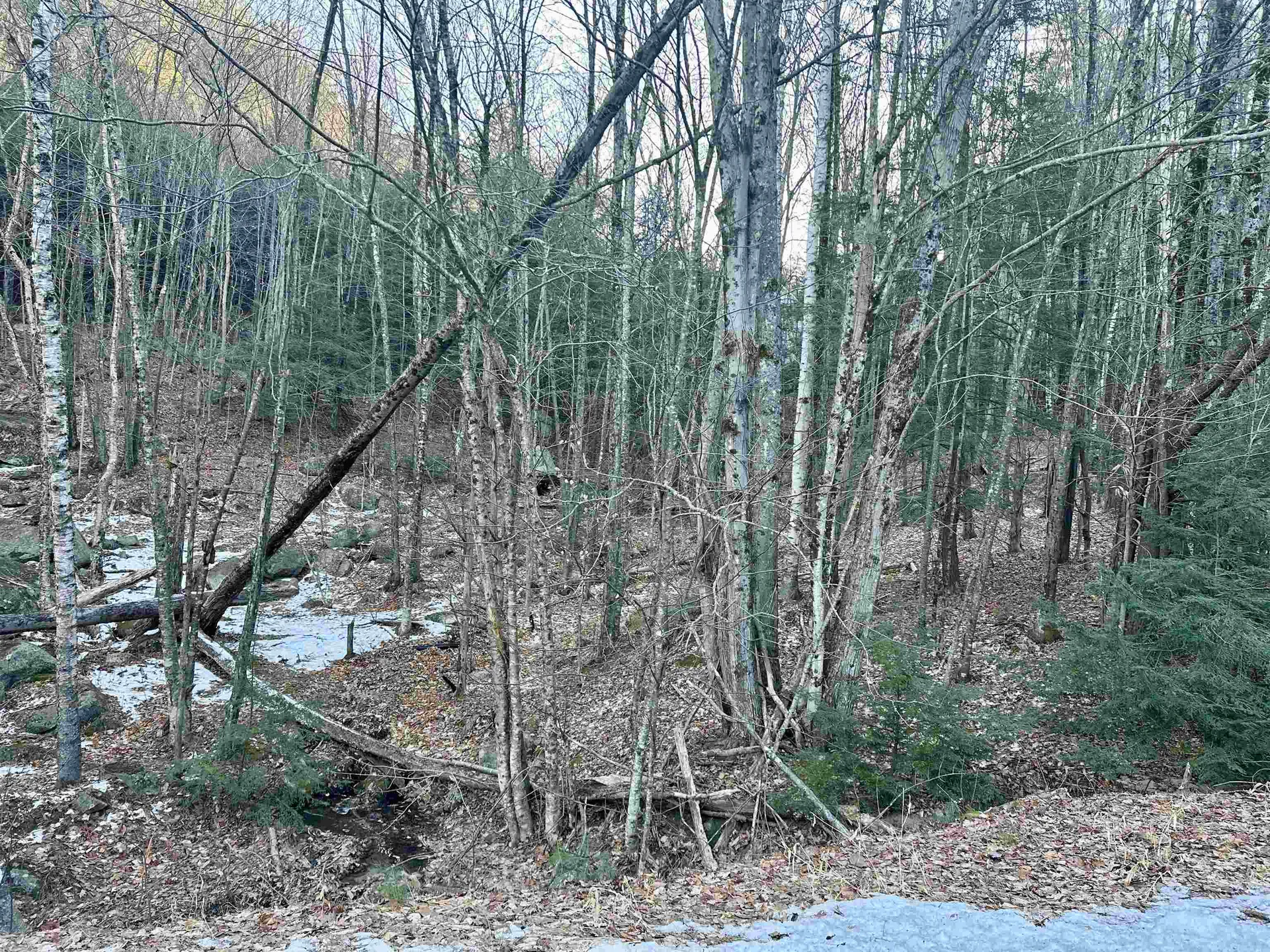 4 Cheshire Circle Gilford NH 03249