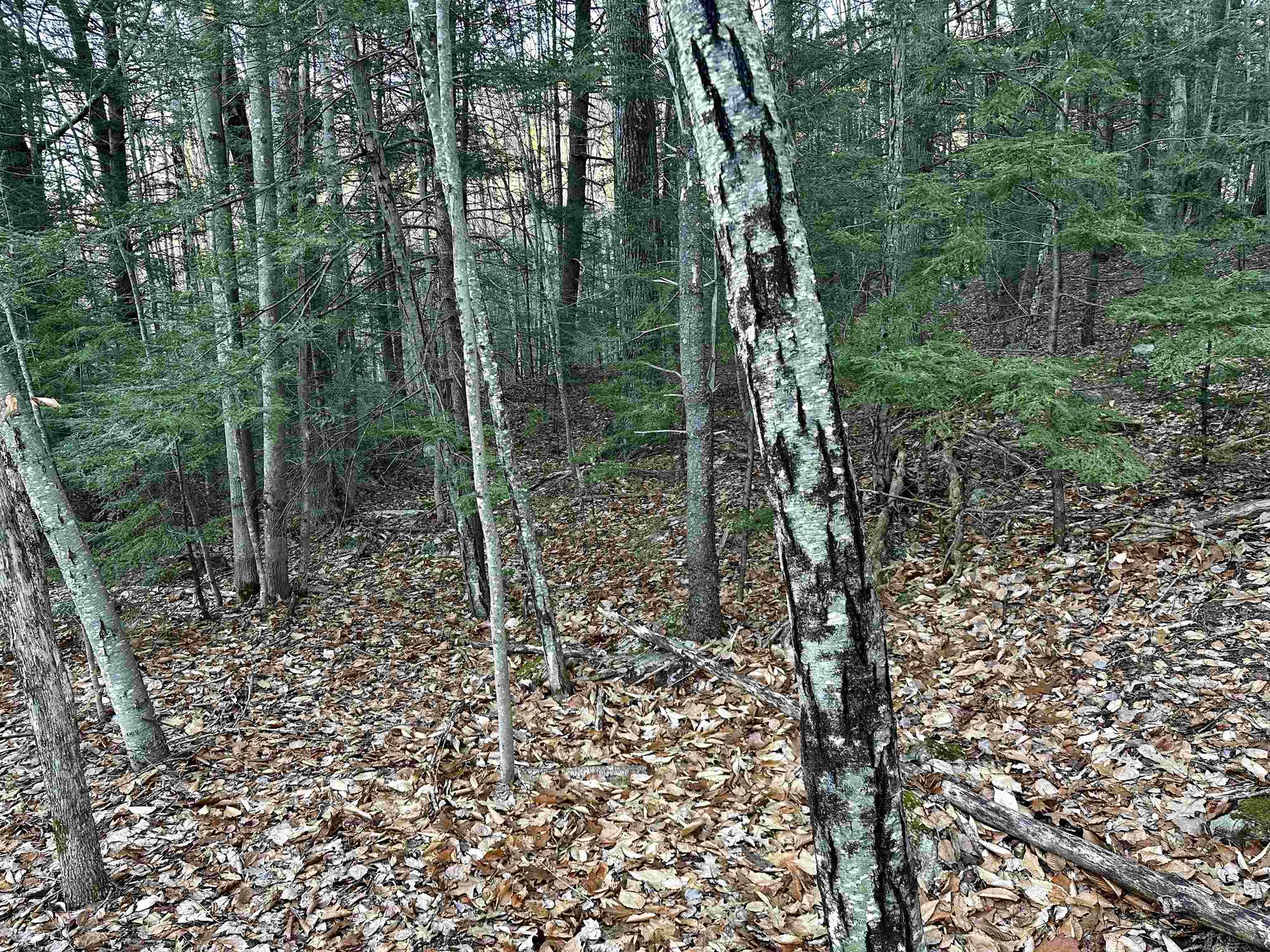 4 Cheshire Circle Gilford NH 03249