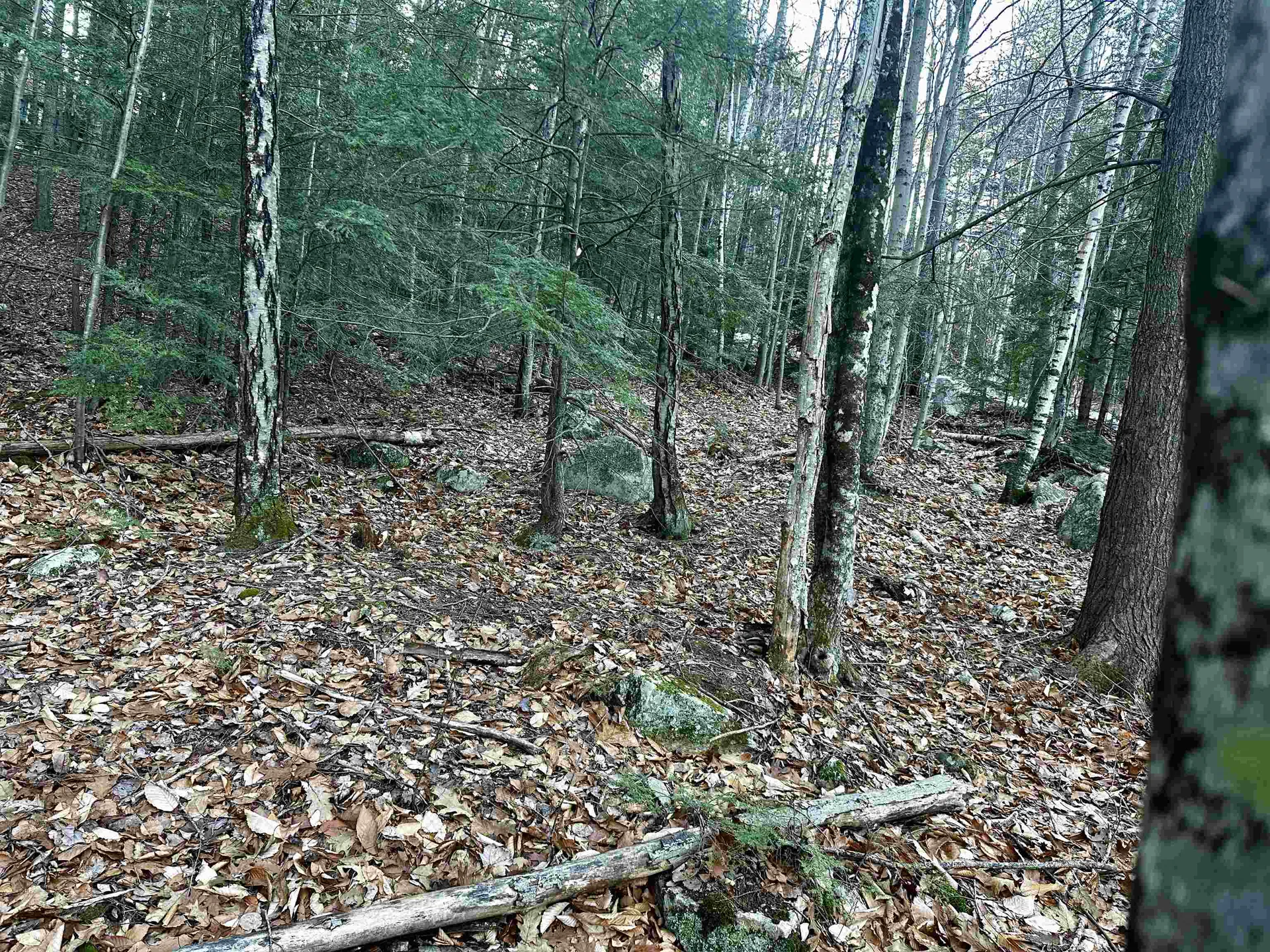 4 Cheshire Circle Gilford NH 03249