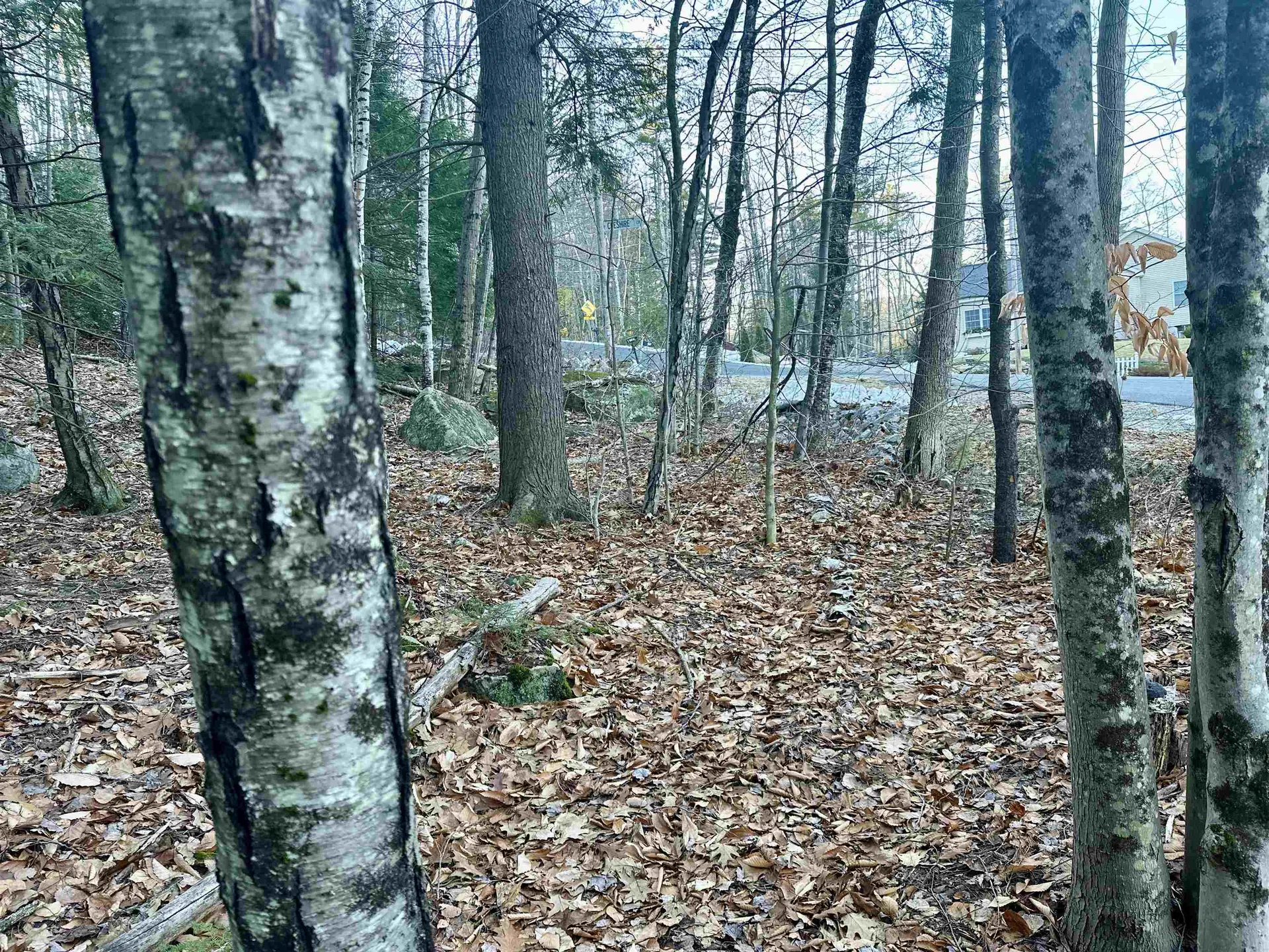 4 Cheshire Circle Gilford NH 03249