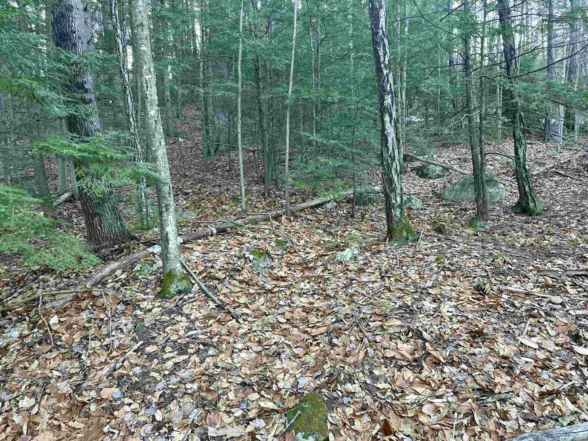 4 Cheshire Circle Gilford NH 03249