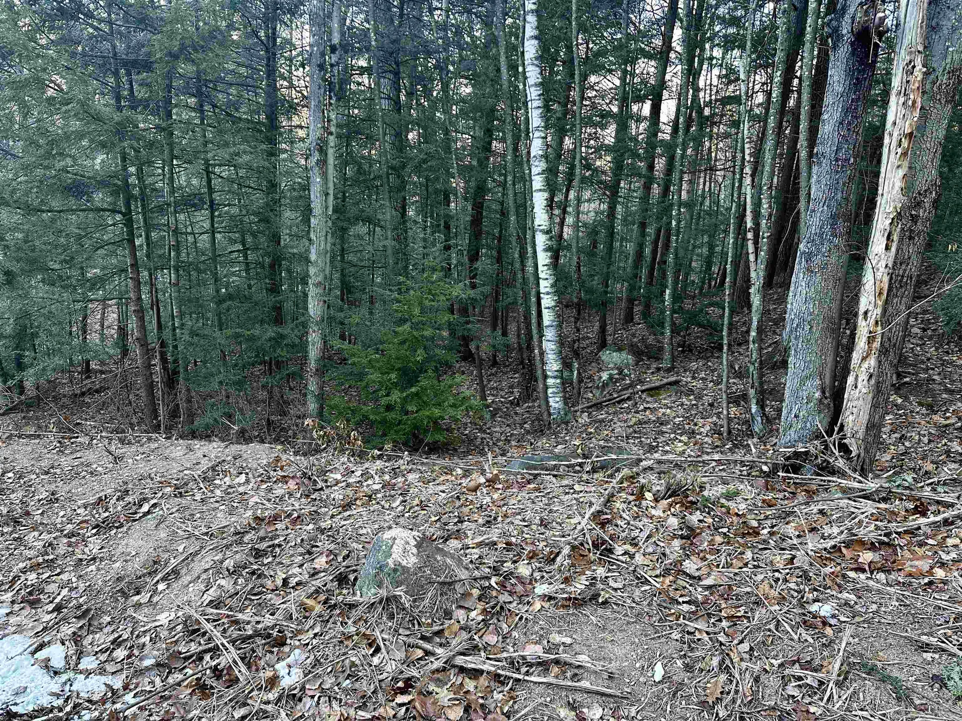 4 Cheshire Circle Gilford NH 03249