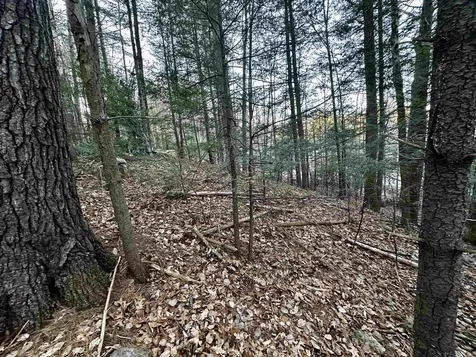 4 Cheshire Circle Gilford NH 03249