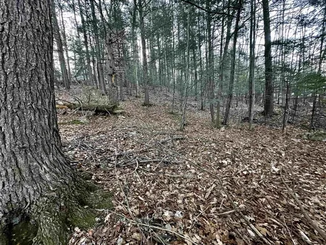 4 Cheshire Circle Gilford NH 03249