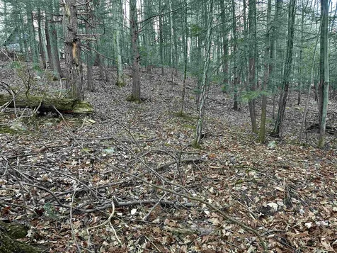 4 Cheshire Circle Gilford NH 03249