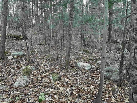 4 Cheshire Circle Gilford NH 03249