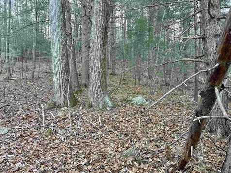 4 Cheshire Circle Gilford NH 03249