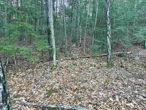 4 Cheshire Circle Gilford NH 03249