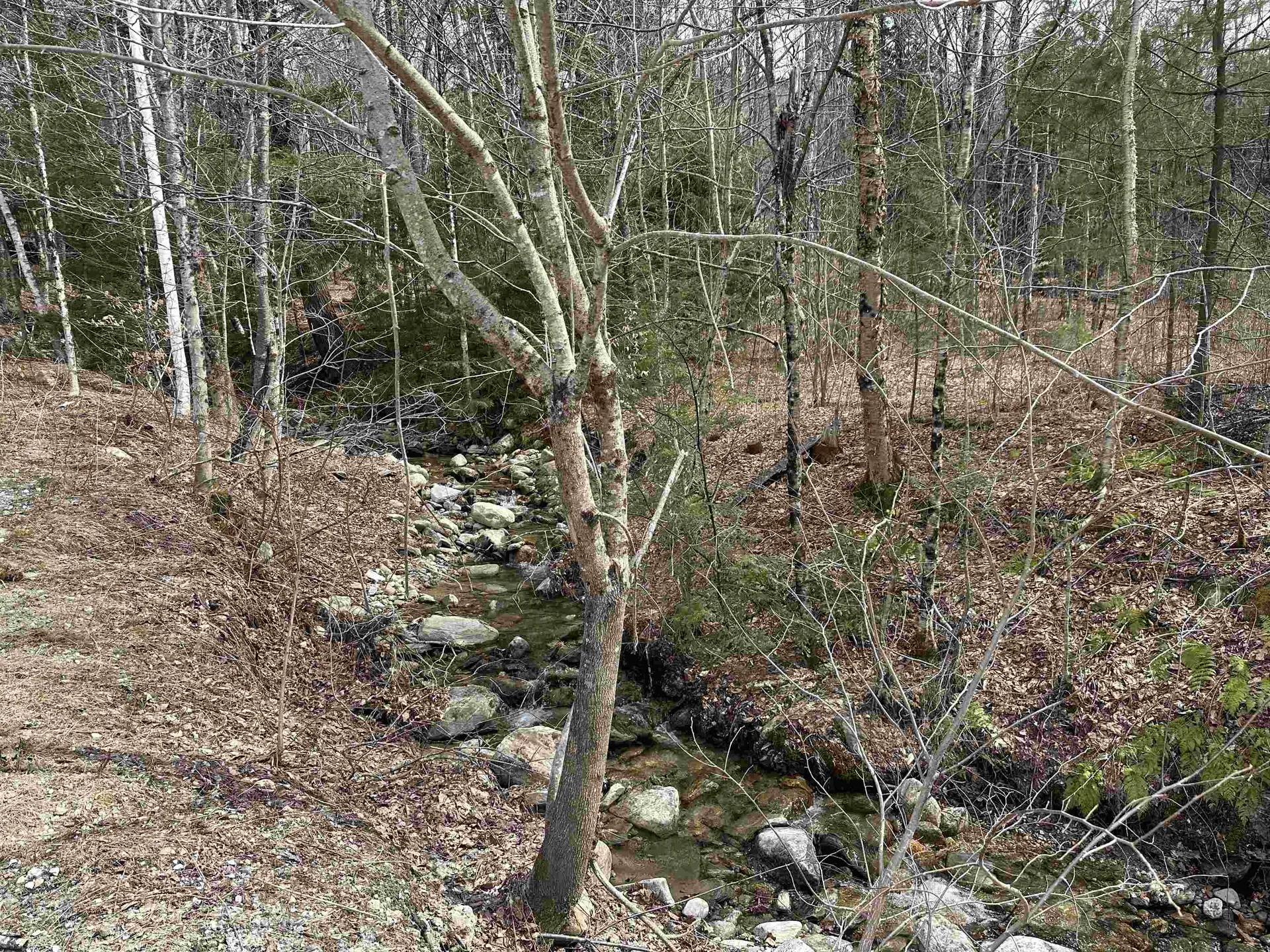 5 Snow Drift Lane Londonderry VT 05148