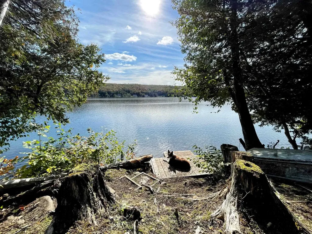 317 Stone Shore Road Glover VT 05839