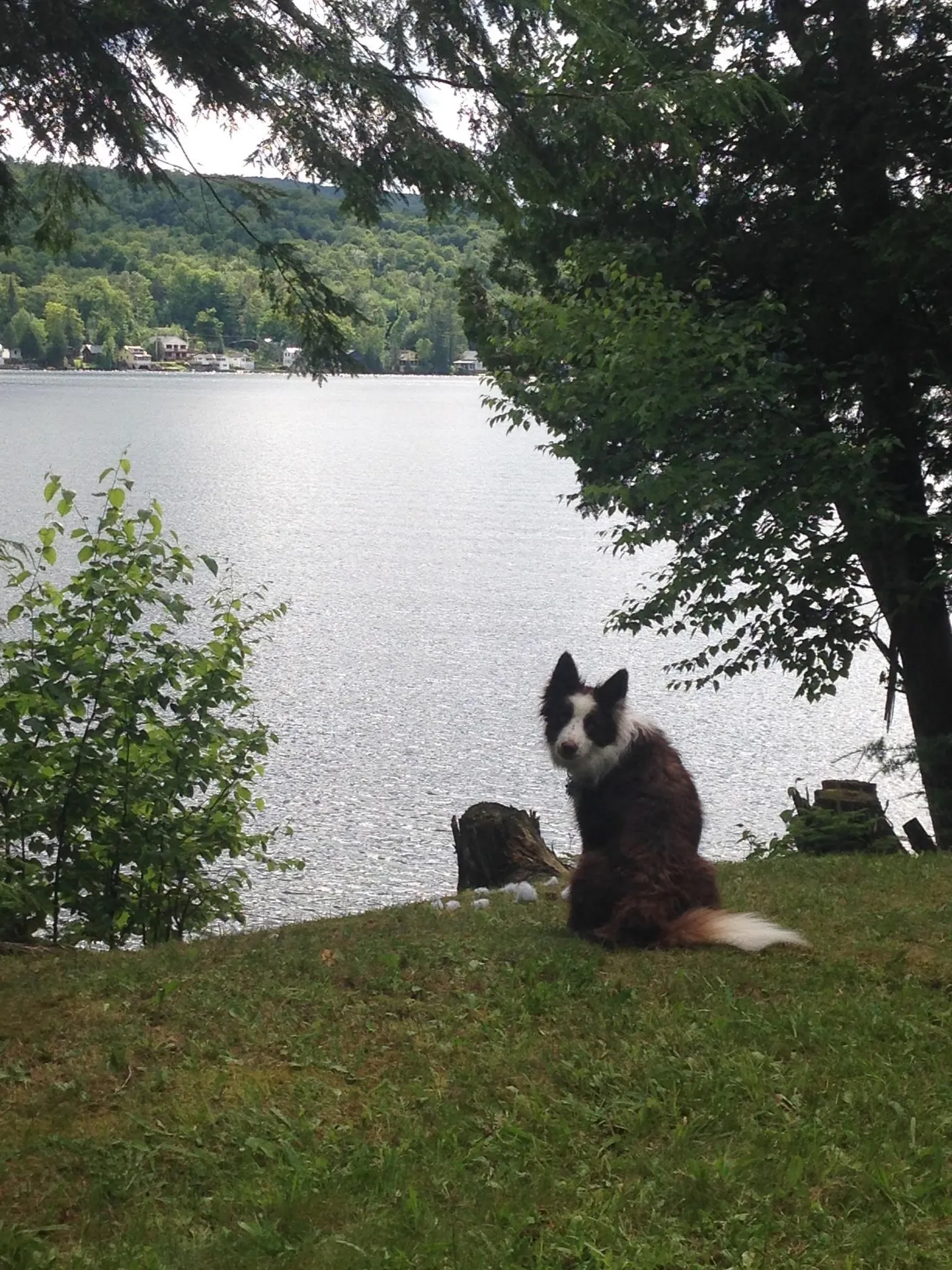 317 Stone Shore Road Glover VT 05839