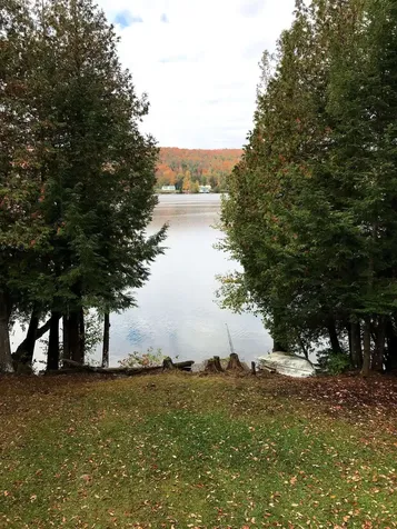 317 Stone Shore Road Glover VT 05839