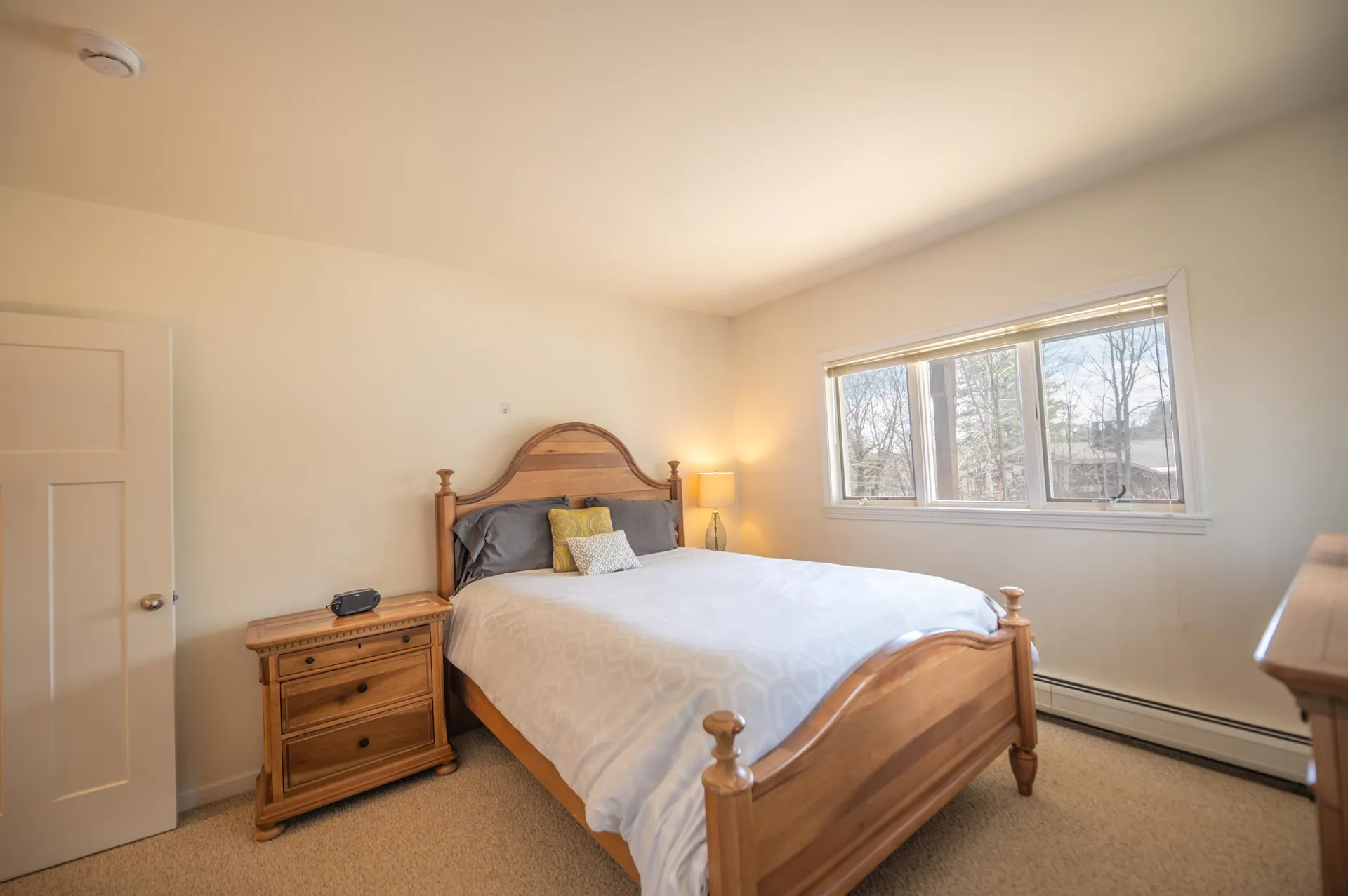 16A Snow Tree Lane Dover VT 05356