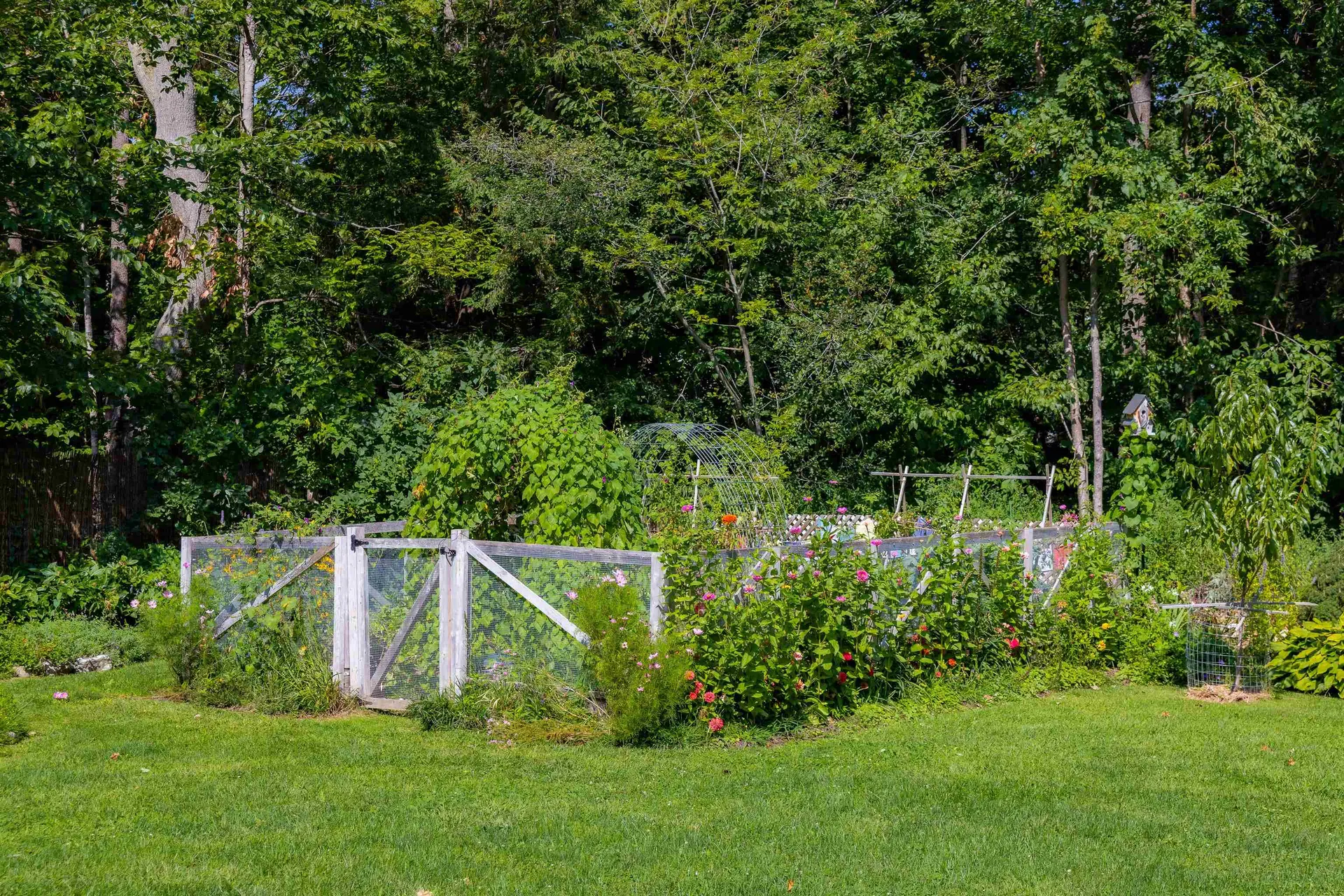 45 Woodbine Road Shelburne VT 05482
