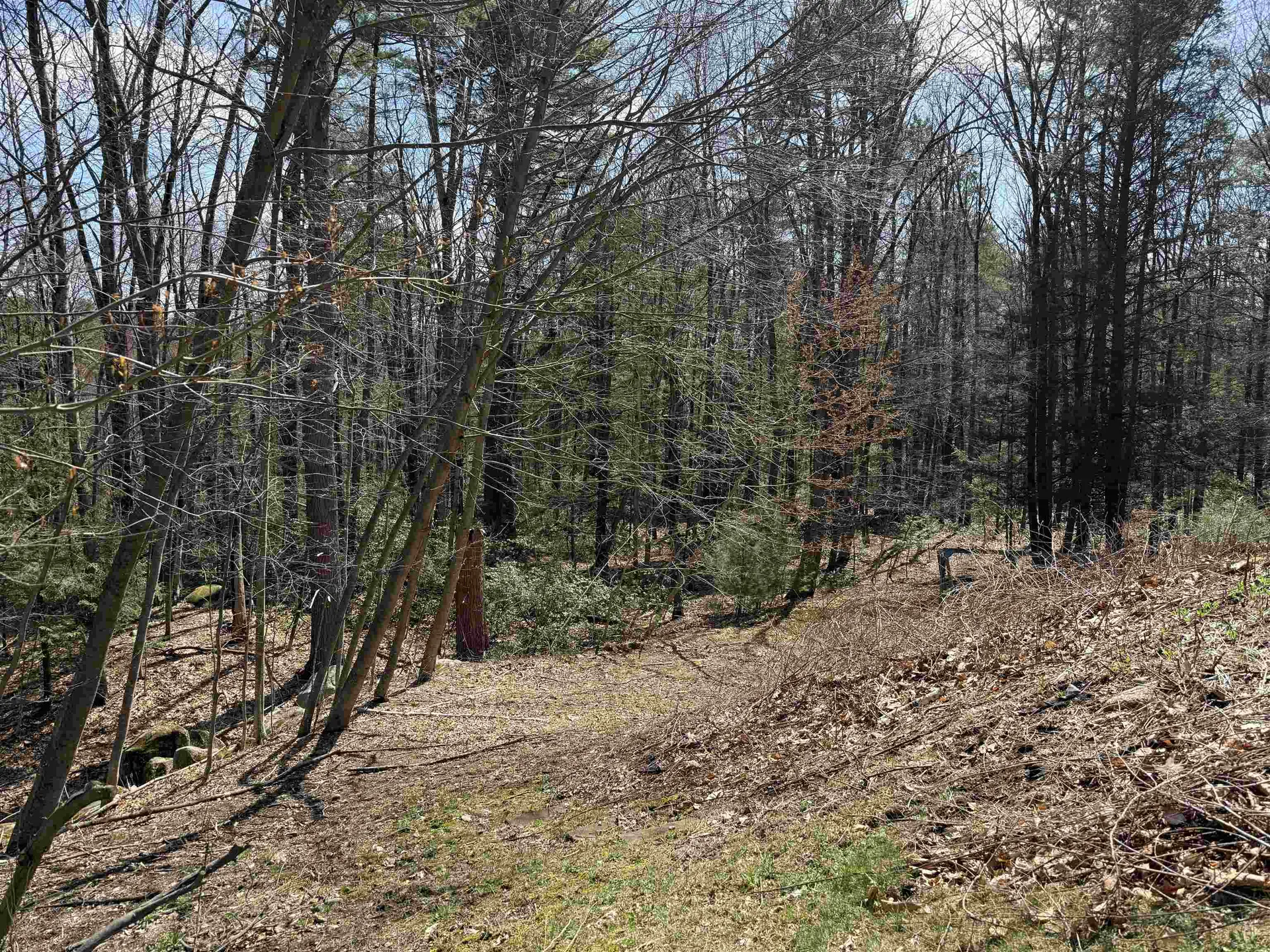 40 Fairlane Drive Bedford NH 03110