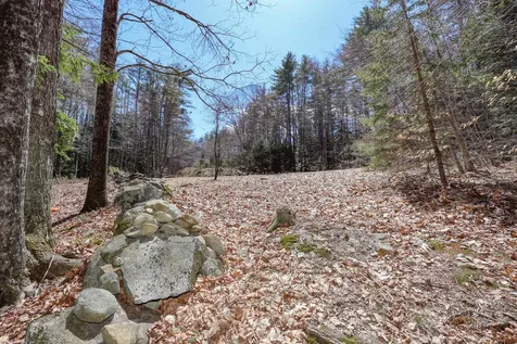 48 Farrell Loop Warner NH 03278