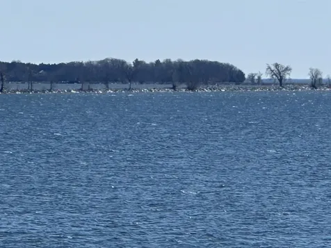 41 Lake Drive South Hero VT 05486