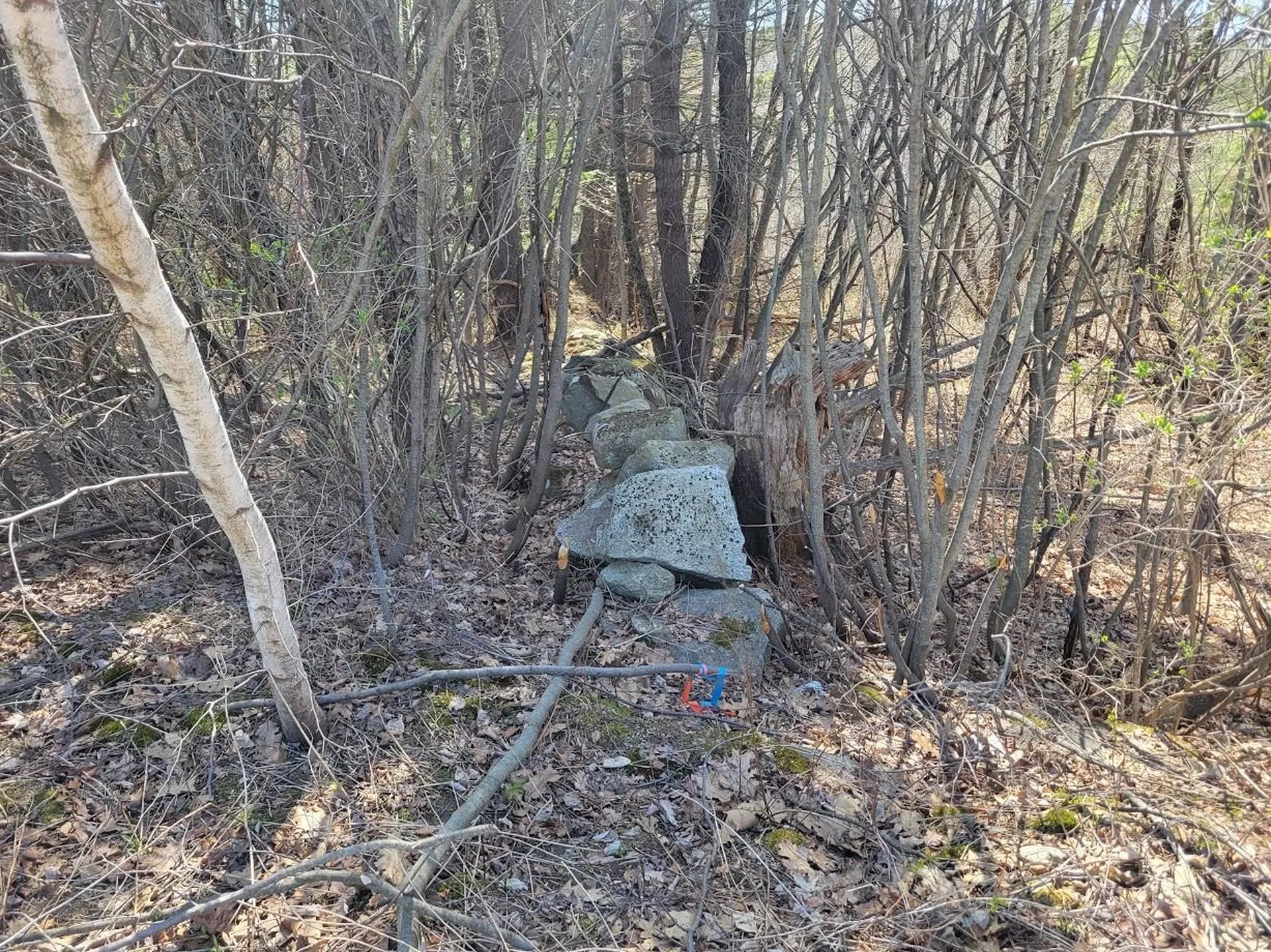 680-2 John Stark Highway Newport NH 03754