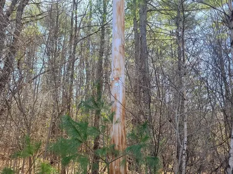 680-2 John Stark Highway Newport NH 03754